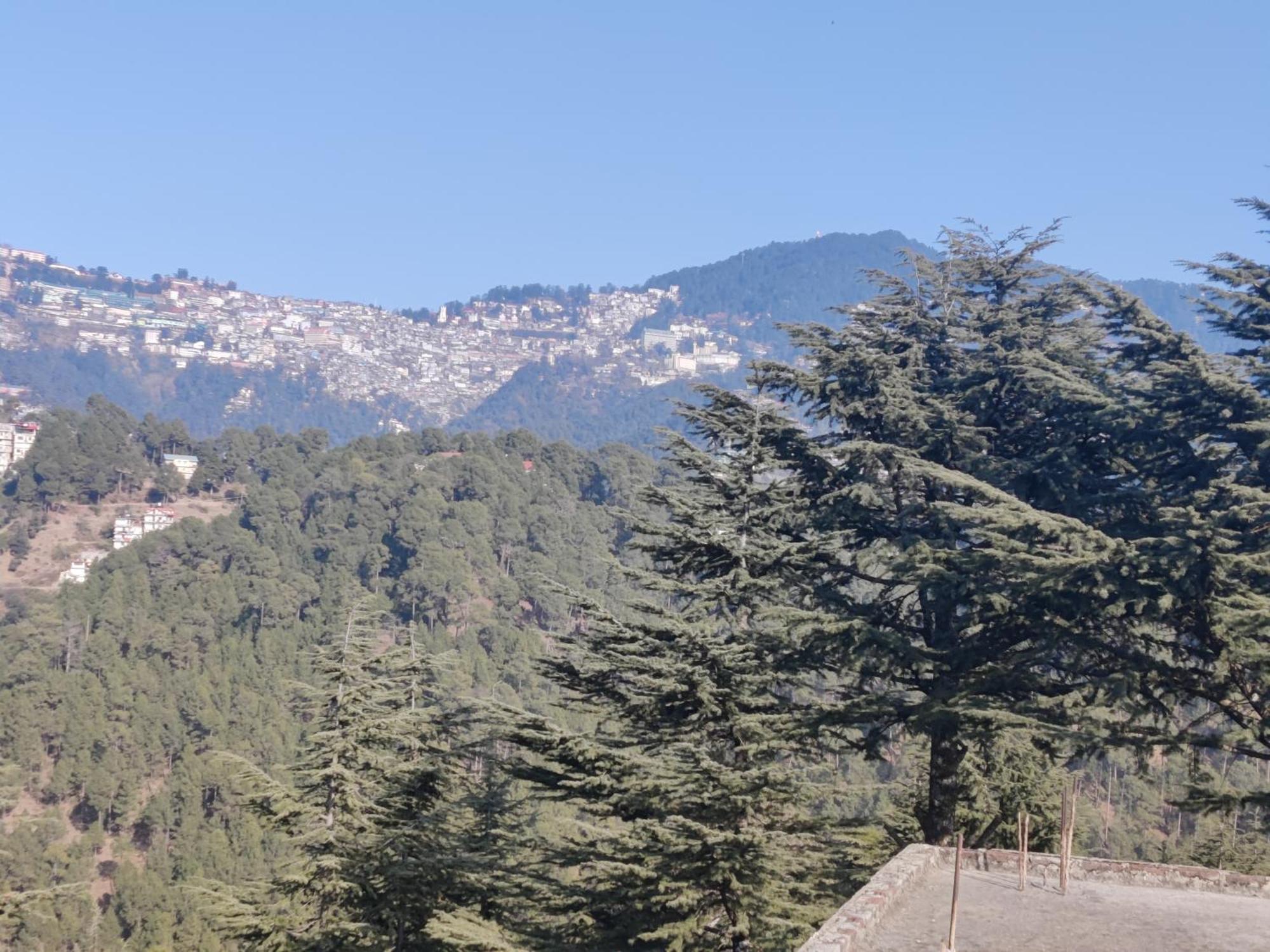 Shimla Hills Apartments 2Bhk Room photo